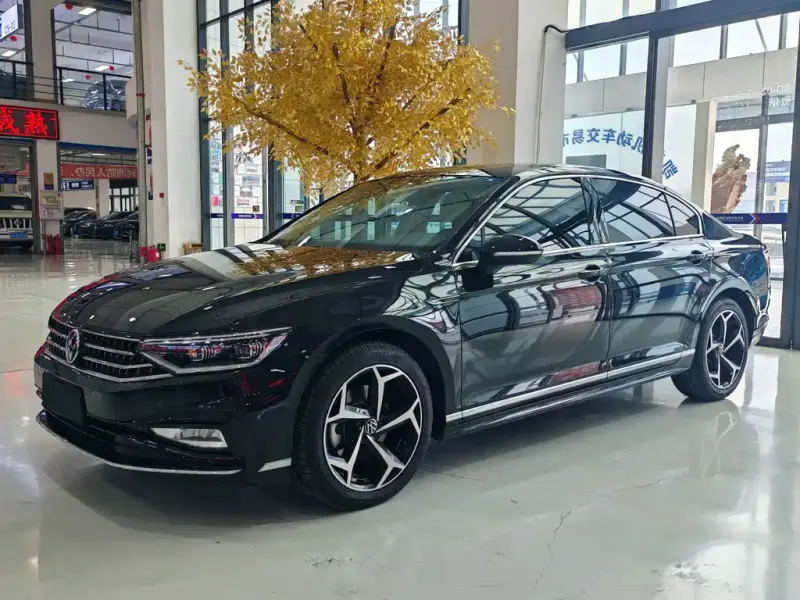 Volkswagen Magotan, 2024
