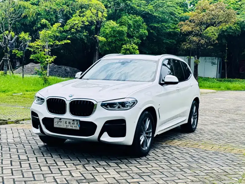 BMW X3, 2019 — фото 1