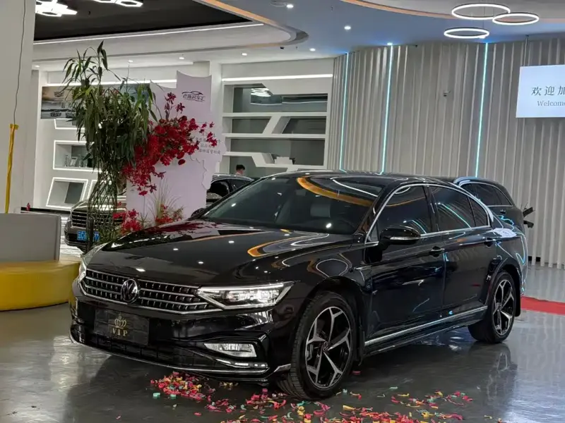 Volkswagen Magotan, 2024
