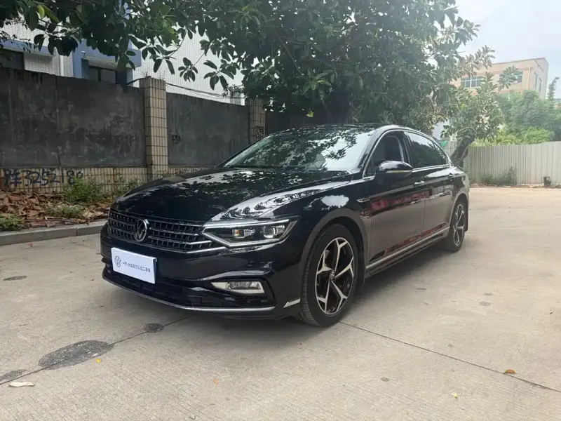 Volkswagen Magotan, 2024