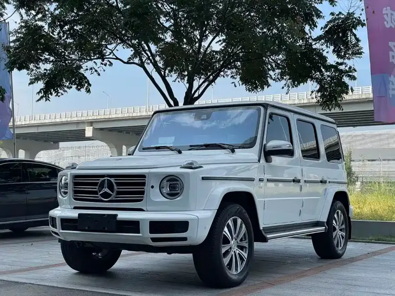 Mercedes-Benz G-Class, 2020 — фото 1