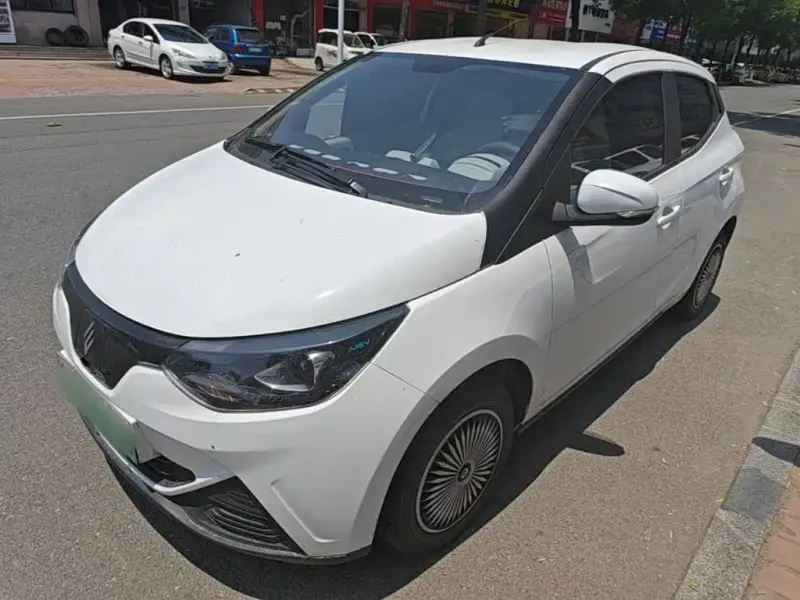 JMEV EV2, 2024