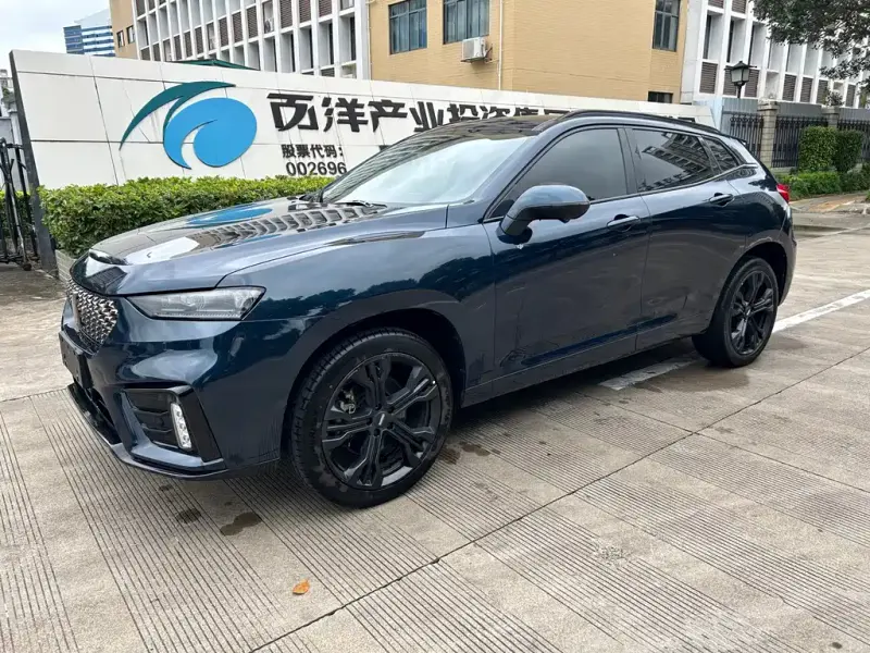 Wey VV7, 2019