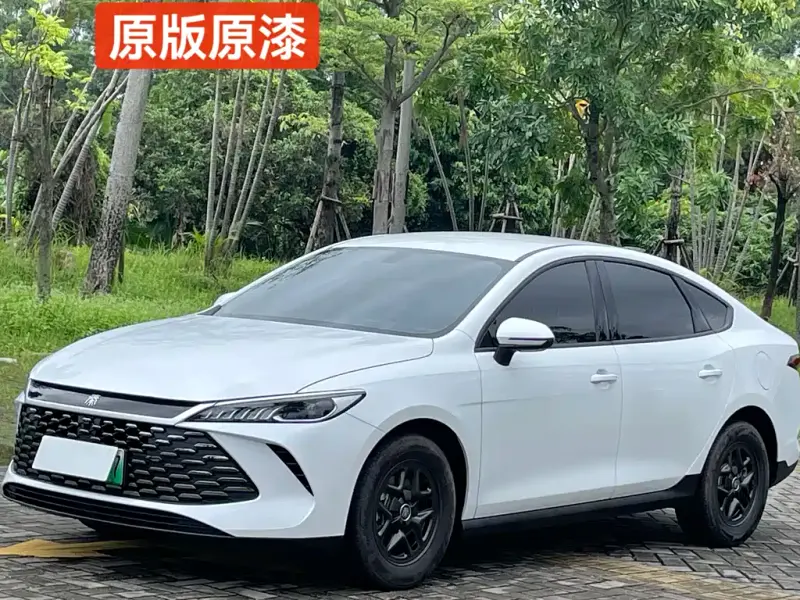 BYD Qin PLUS, 2025