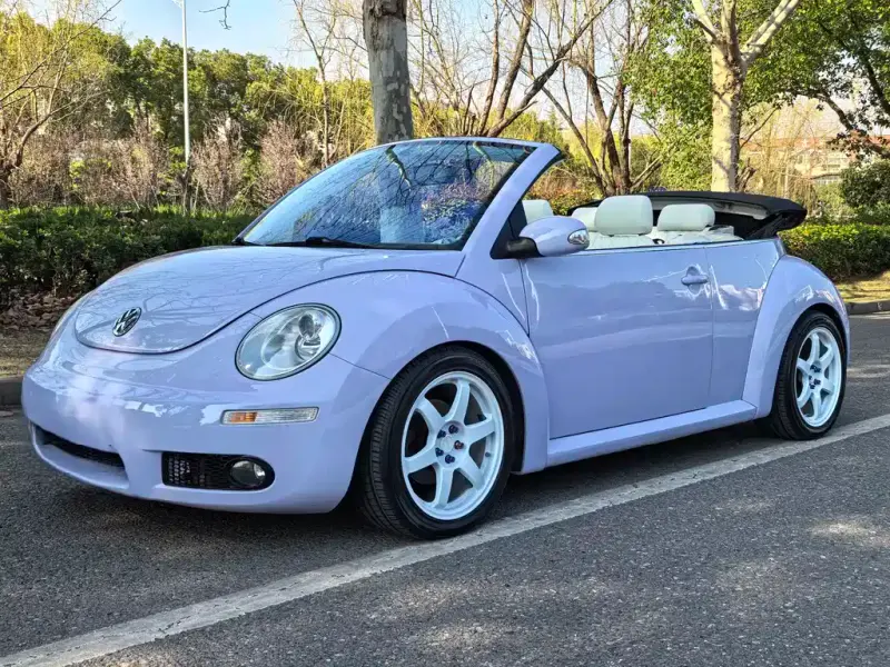 Volkswagen Beetle, 2010