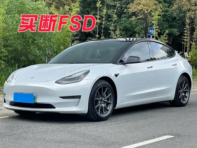 Tesla Model 3, 2019