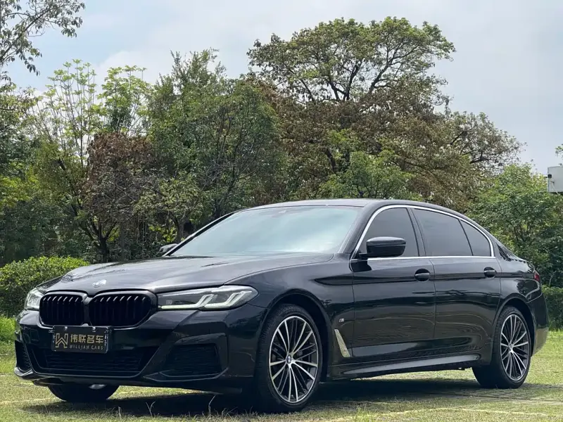 BMW 5 Series, 2021