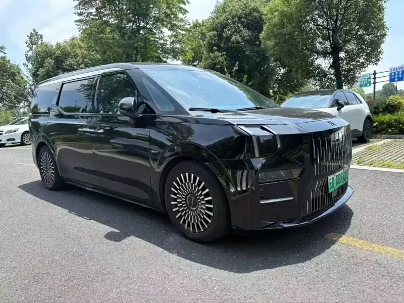 Zeekr 009, 2024