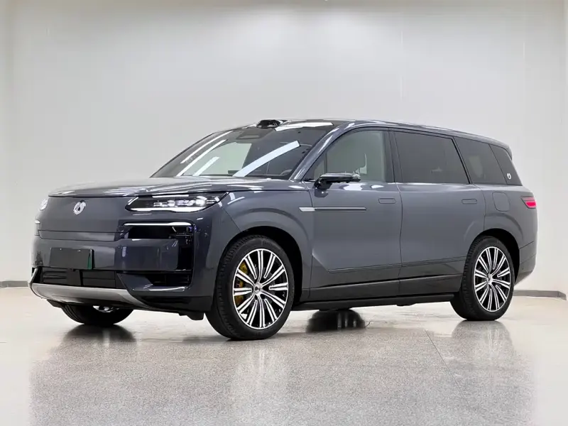 Denza N9, 2025