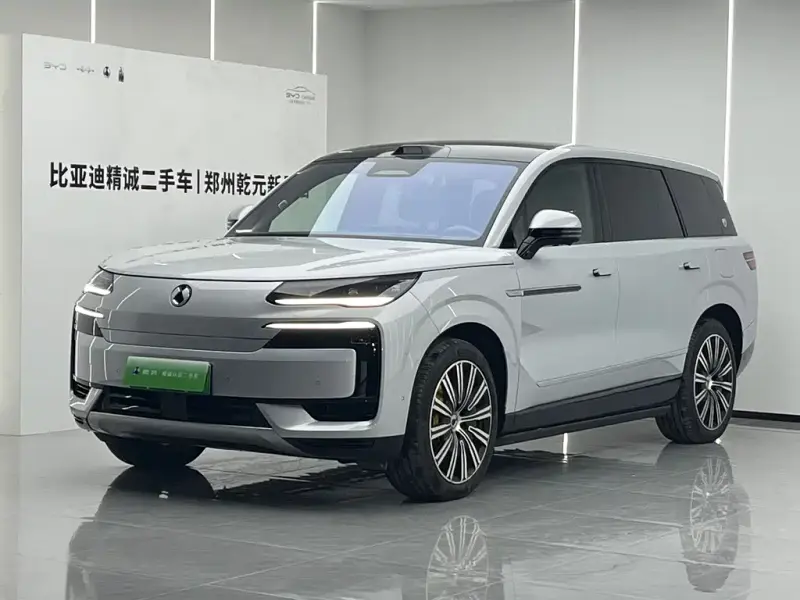 Denza N9, 2025
