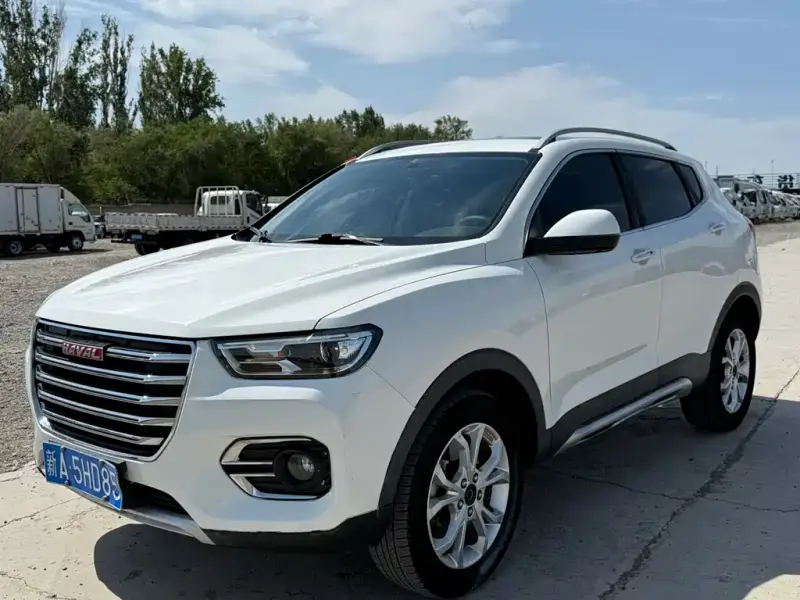 Haval H2s, 2018
