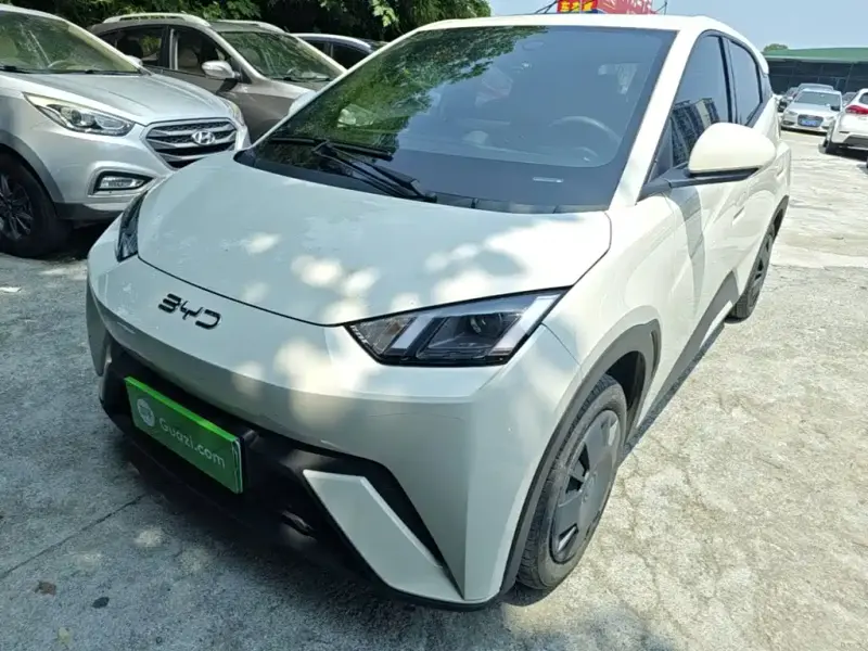 BYD Seagull, 2025