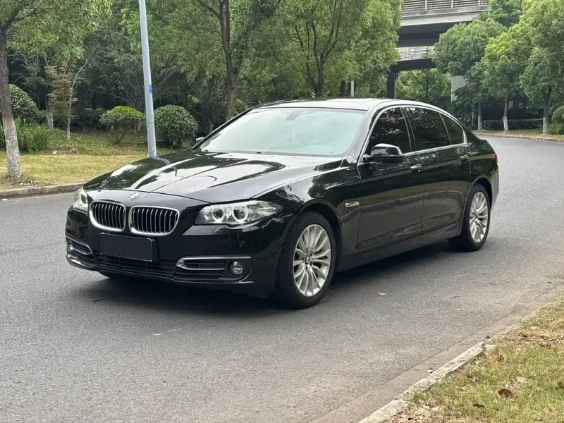 BMW 5 Series, 2014