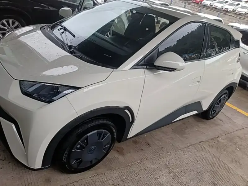 BYD Seagull, 2025