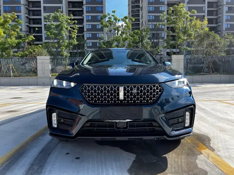 Wey VV7 GT, 2020