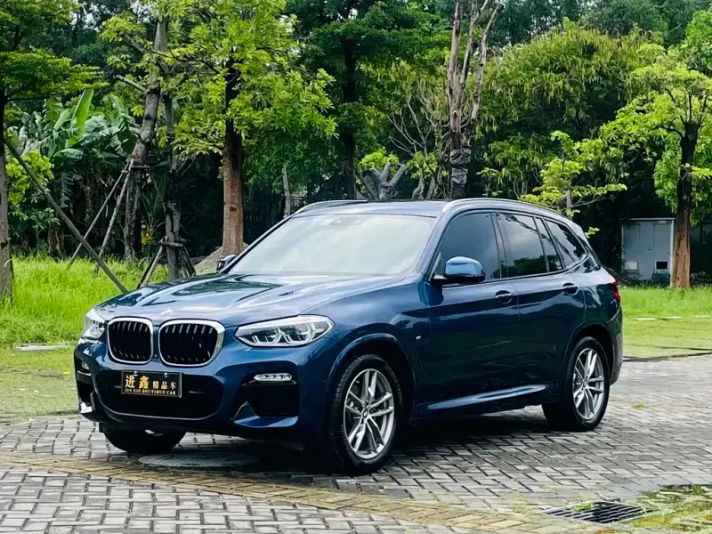 BMW X3, 2019 — фото 1
