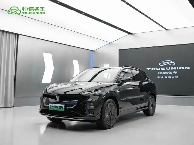 VOYAH Zhiyin, 2024