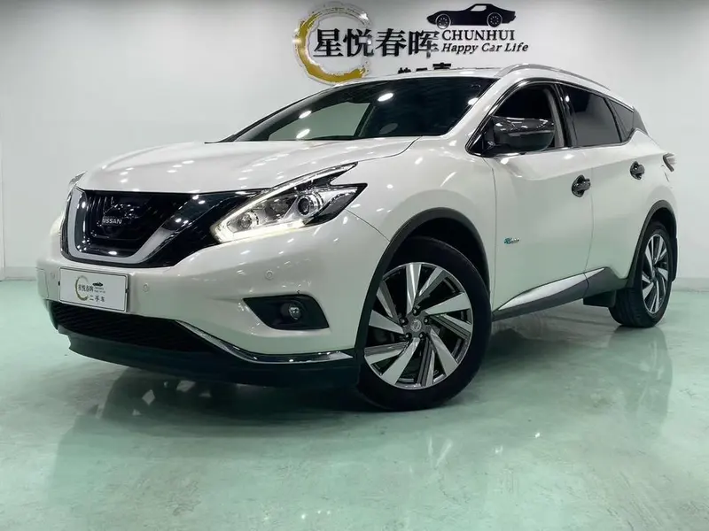 Nissan Murano 2.5 S/C HEV XL 2WD Hybrid Premium Edition, 2015 — фото 1