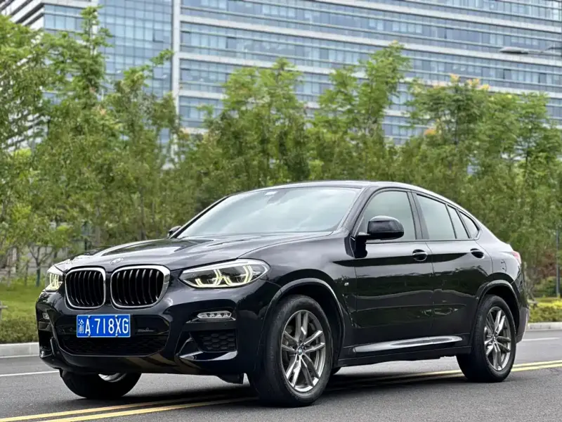 BMW X4, 2019 — фото 1