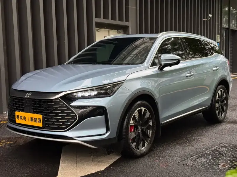 BYD Tang New Energy, 2024