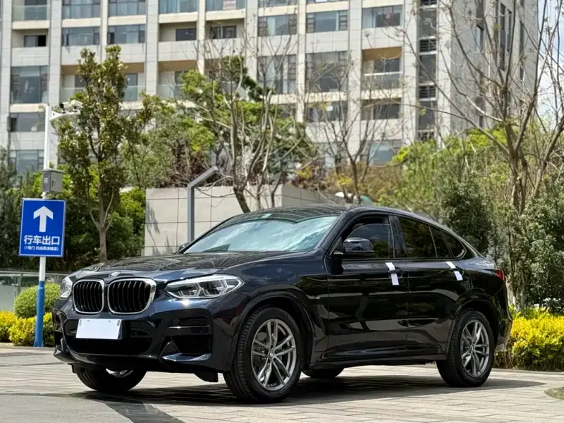 BMW X4, 2019 — фото 1