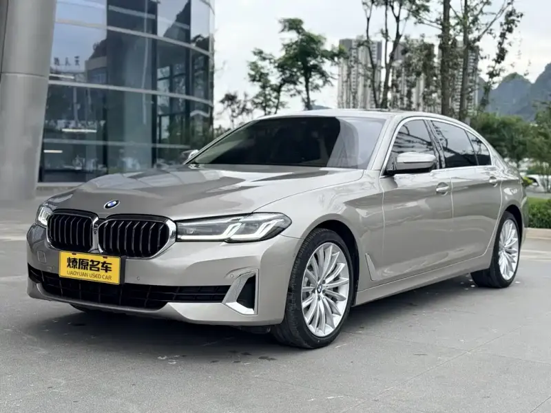 BMW 5 Series, 2020