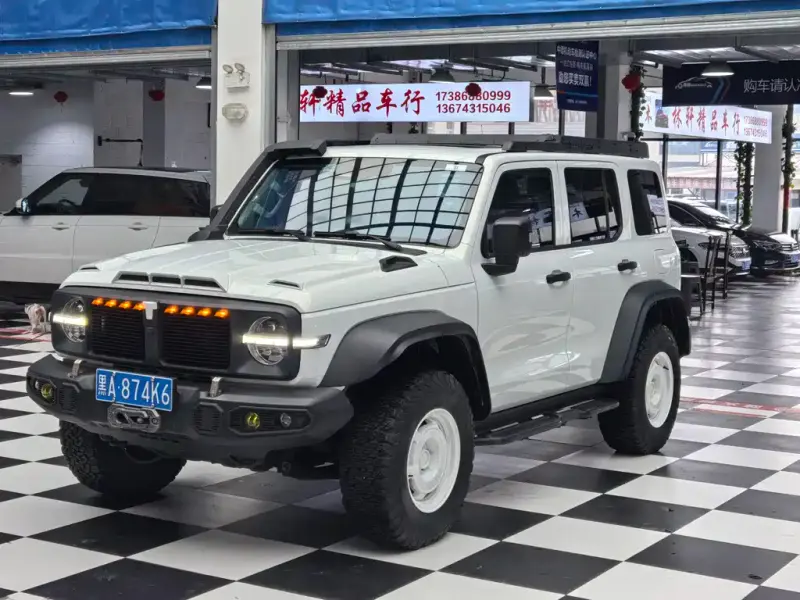 Tank 300, 2024