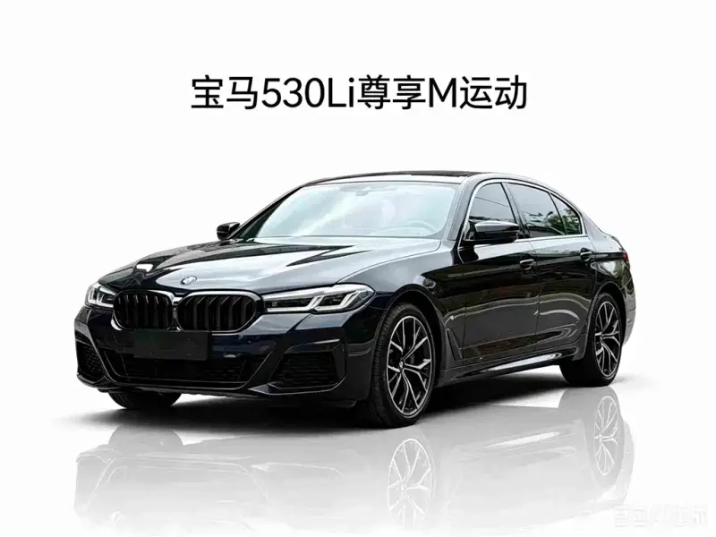BMW 5 Series, 2021