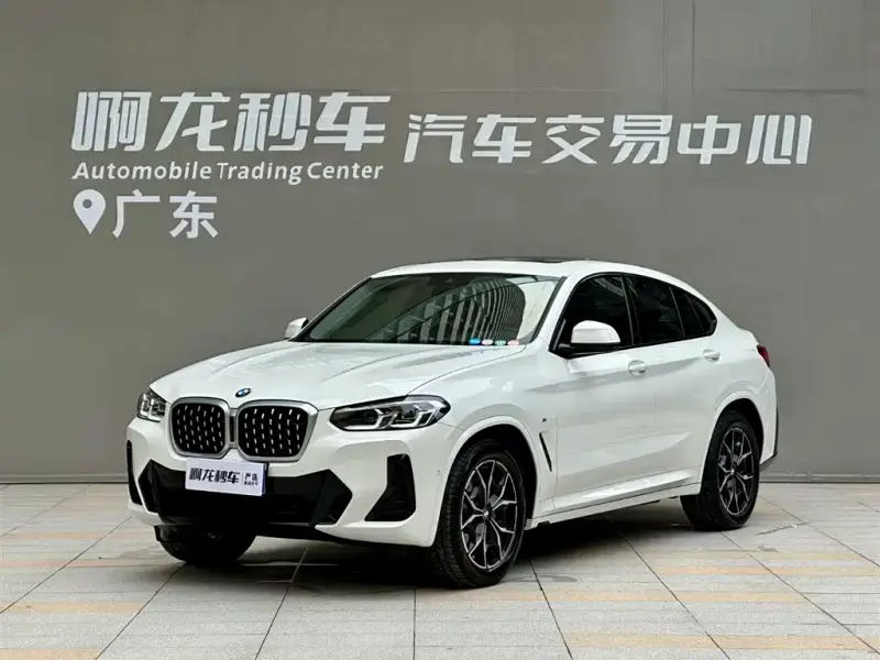 BMW X4, 2024 — фото 1