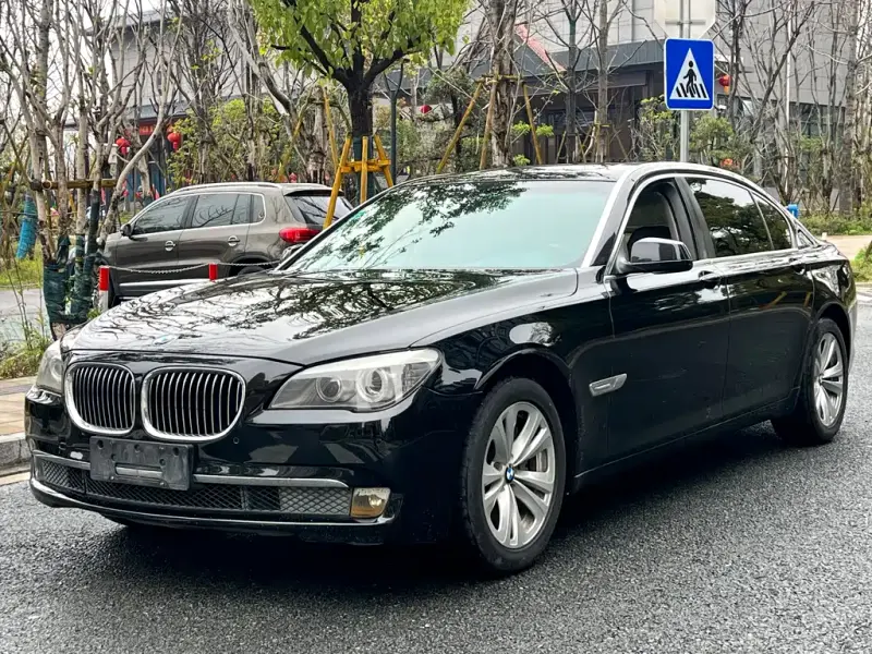 BMW 7 Series, 2010