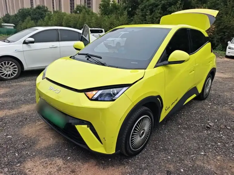 BYD Seagull, 2024