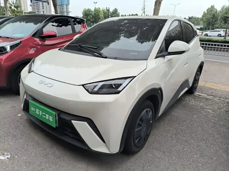 BYD Seagull, 2024