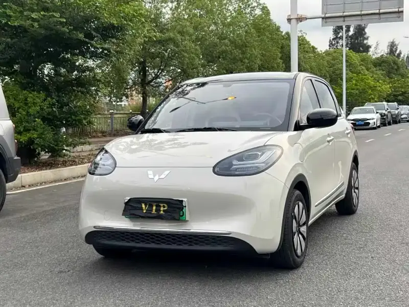 Wuling Bingo, 2025