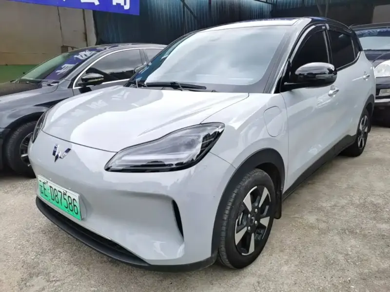 Wuling Bingo PLUS, 2024