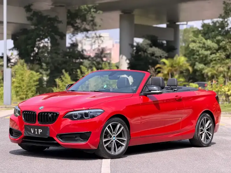 BMW 2 Series (Import), 2018