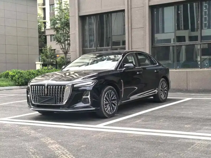 Hongqi H5, 2025