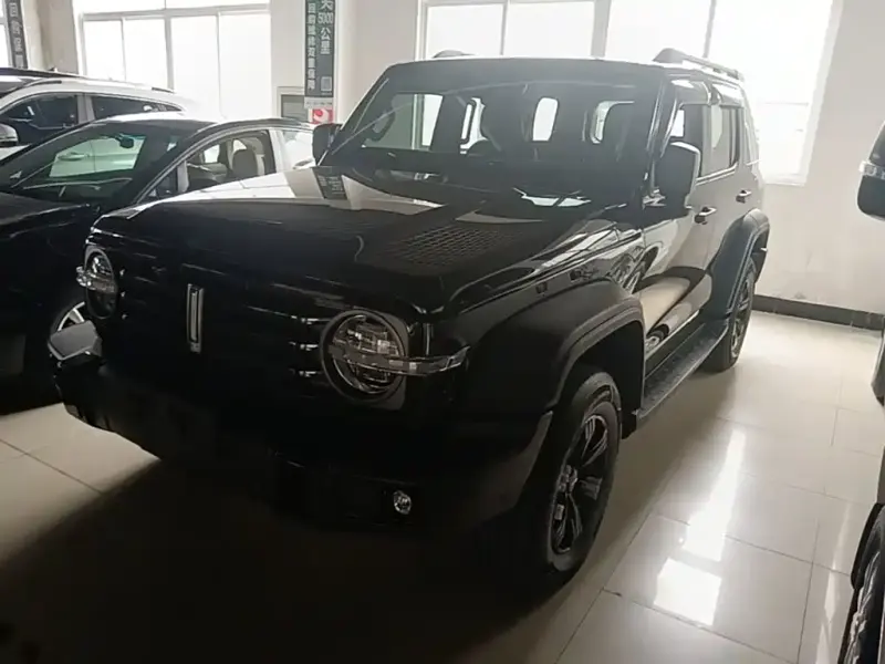 Tank 300, 2021