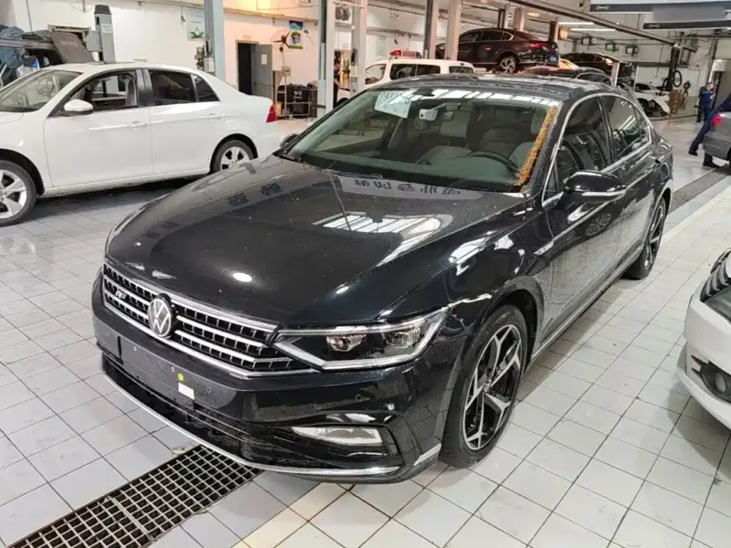 Volkswagen Magotan, 2024