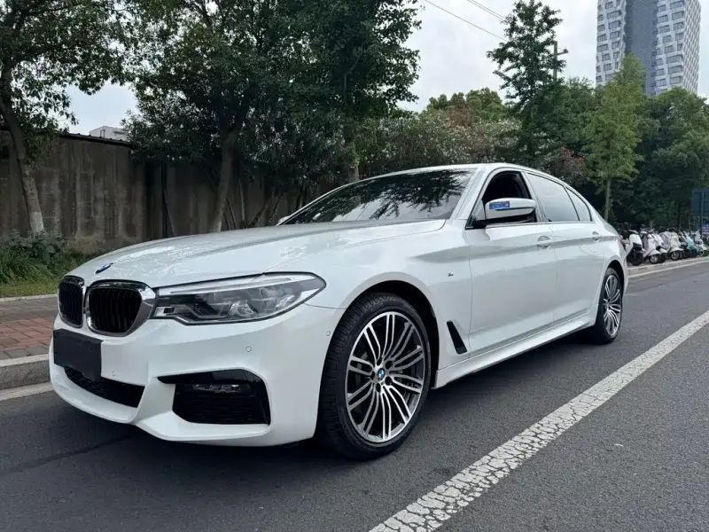 BMW 5 Series, 2019