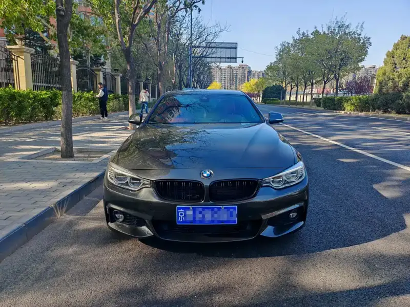 BMW 4 Series, 2016 — фото 1