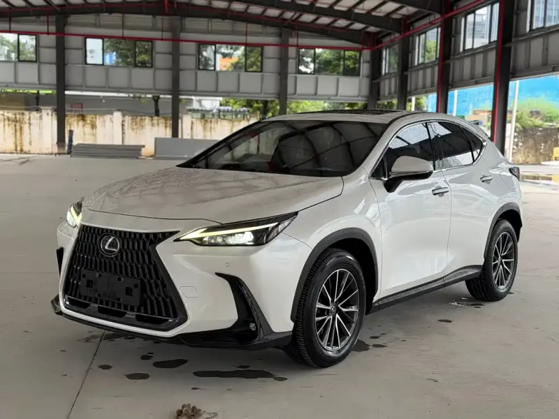 Lexus NX New Energy, 2021 — фото 1