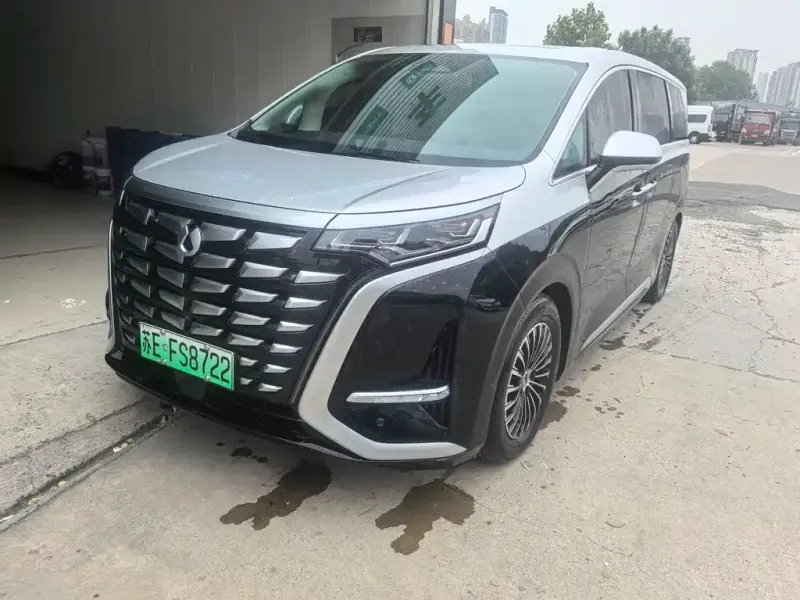 Denza D9, 2024
