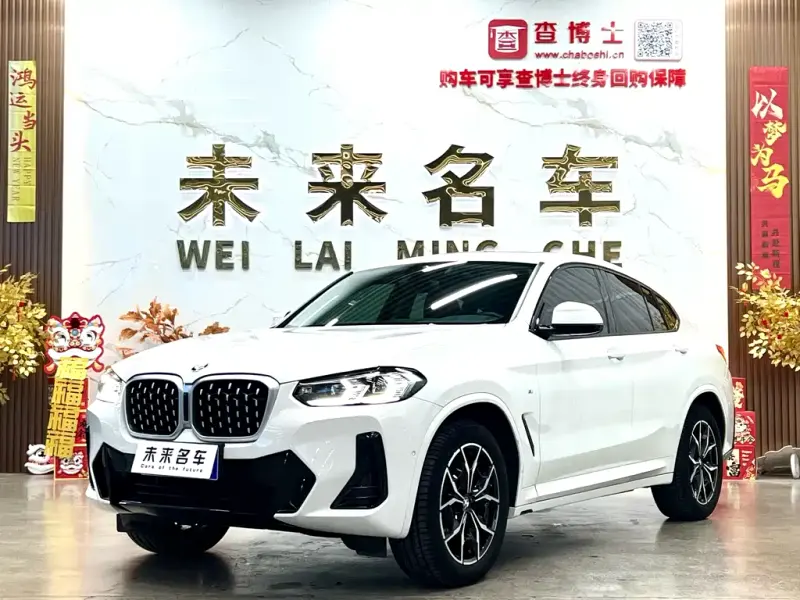BMW X4, 2023 — фото 1