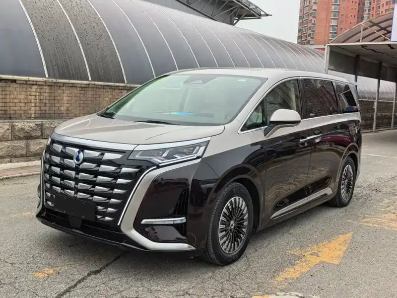 Denza D9, 2024