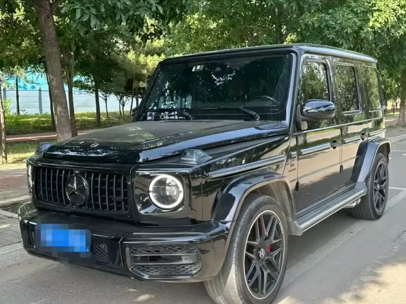 Mercedes-Benz G-Class, 2019 — фото 1