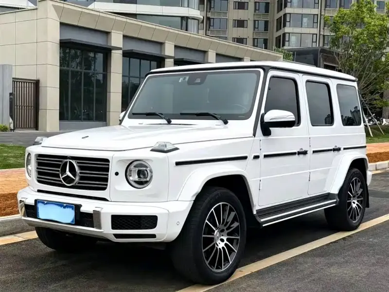 Mercedes-Benz G-Class, 2019 — фото 1