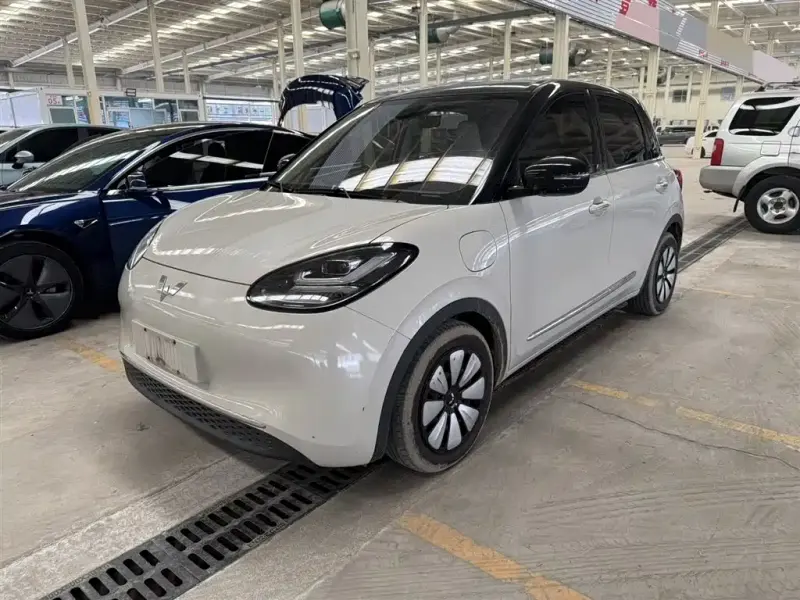 Wuling Bingo, 2023