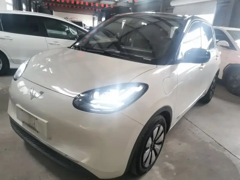 Wuling Bingo, 2023