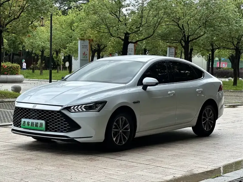 BYD Qin PLUS, 2024 — фото 1