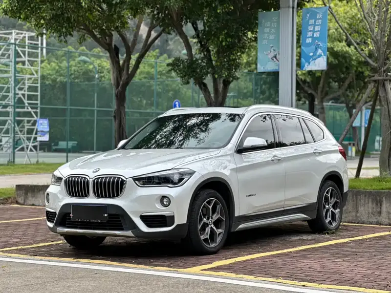 BMW X1, 2017 — фото 1